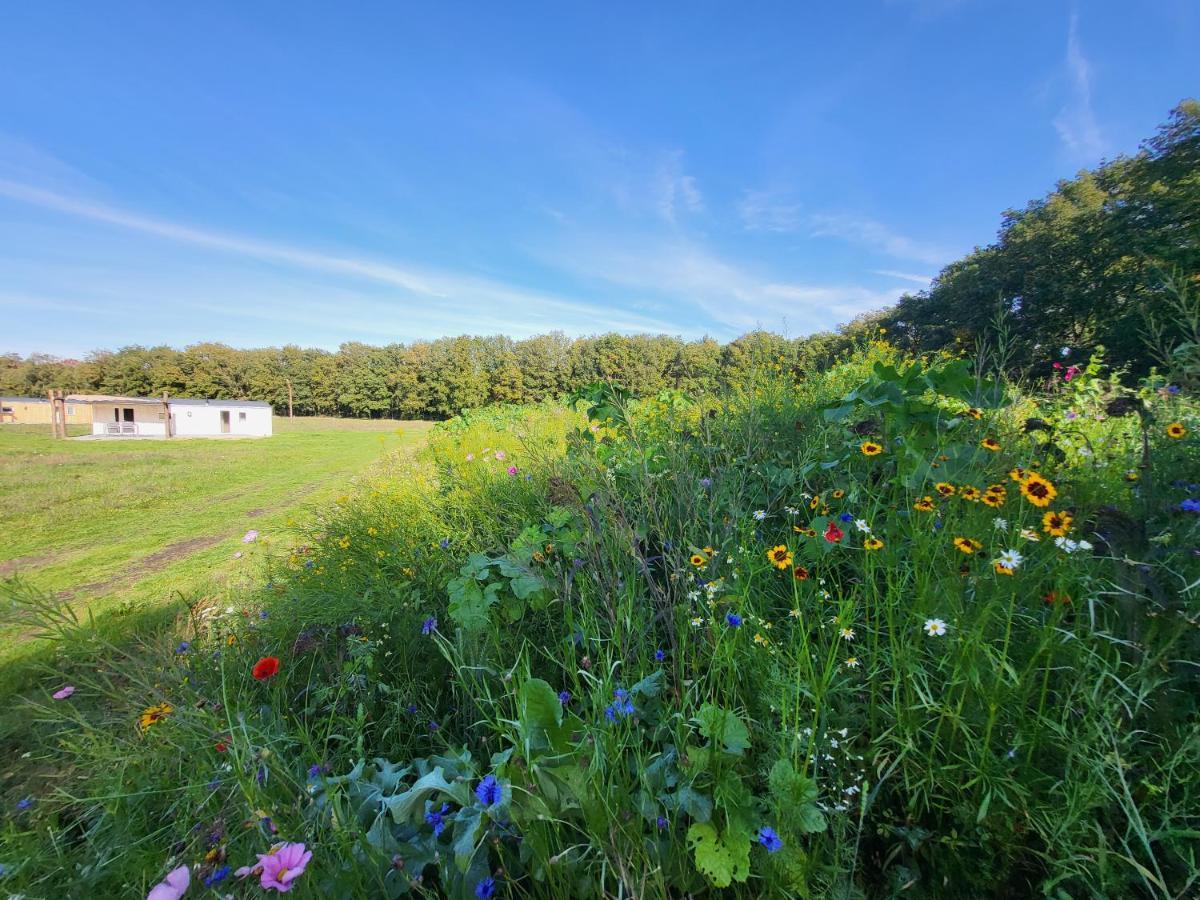 Hoeve Twente - De Bonte Specht Villa Heythuysen Eksteriør bilde